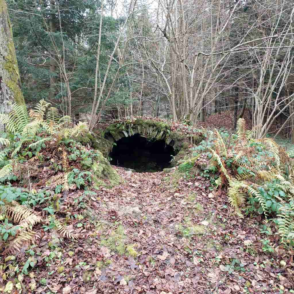 20251113_120942 — kopia.jpg