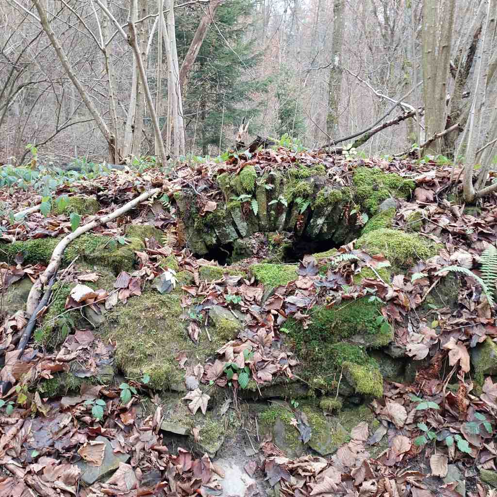 20251113_121501 — kopia.jpg