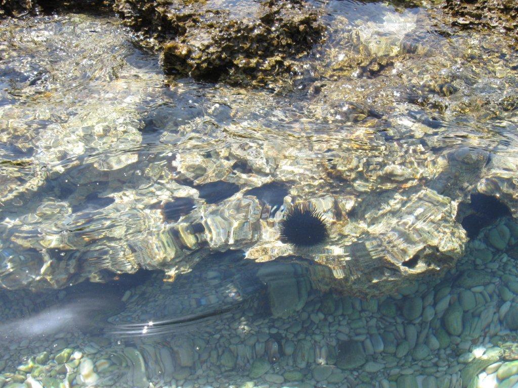 Chorwacja 2008 166.jpg