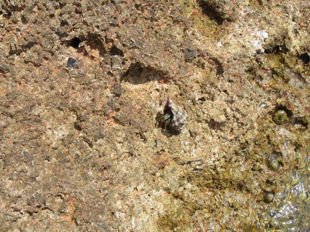 Chorwacja 2008 201.jpg