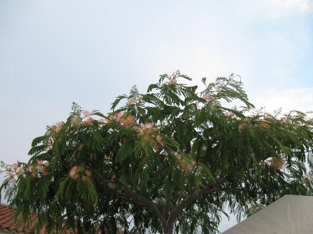 Chorwacja 2008 282.jpg