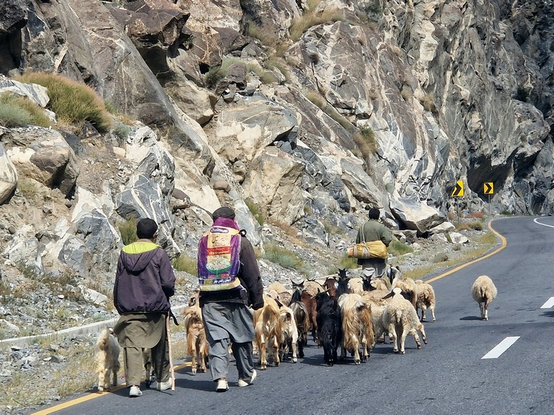 20250929_131101 (Kopiowanie).jpg