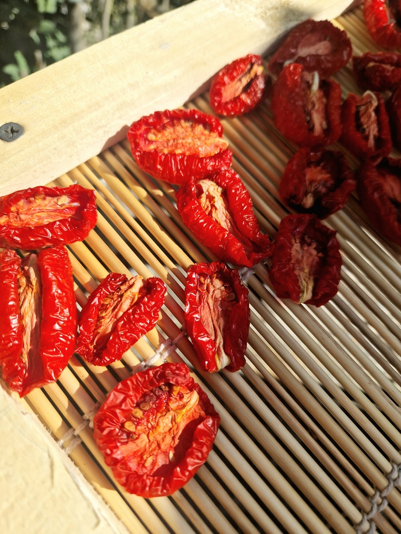 20250930_095205 (Kopiowanie).jpg