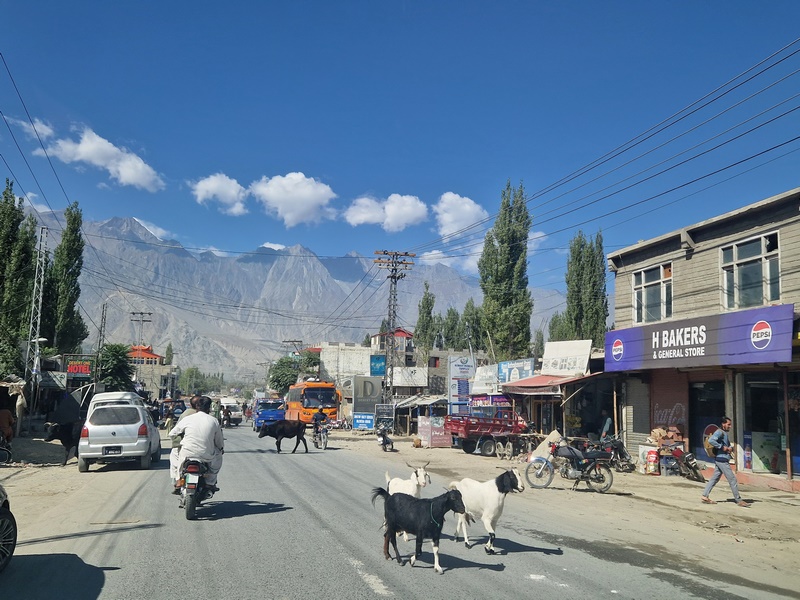 20250930_101325 (Kopiowanie).jpg