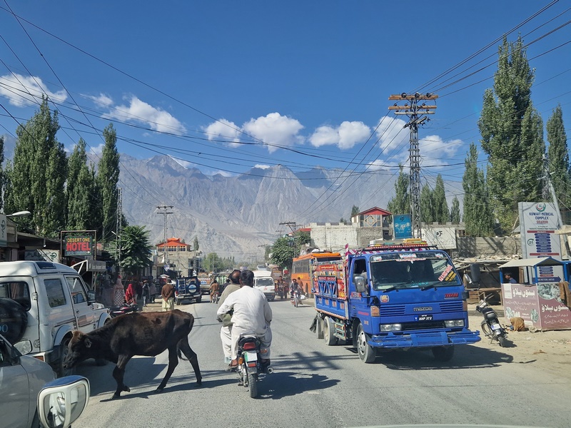 20250930_101328 (Kopiowanie).jpg