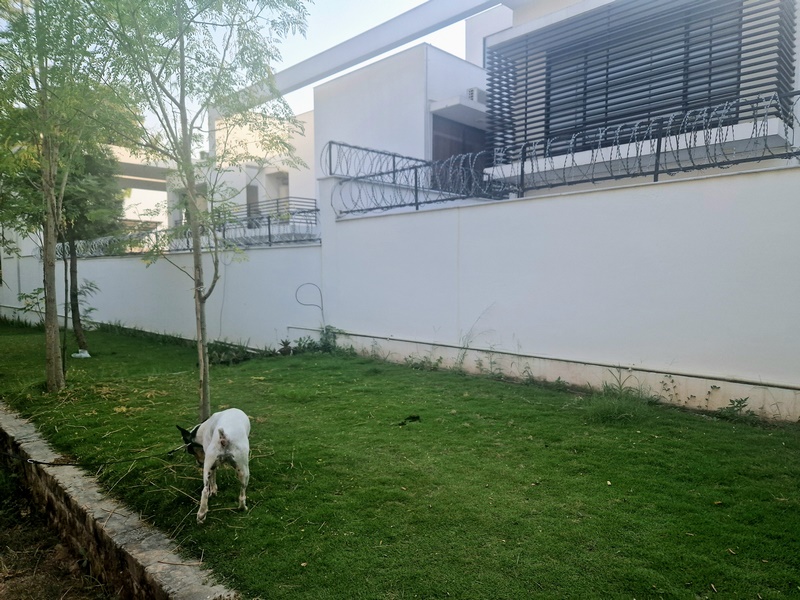 20250930_161506 (Kopiowanie).jpg