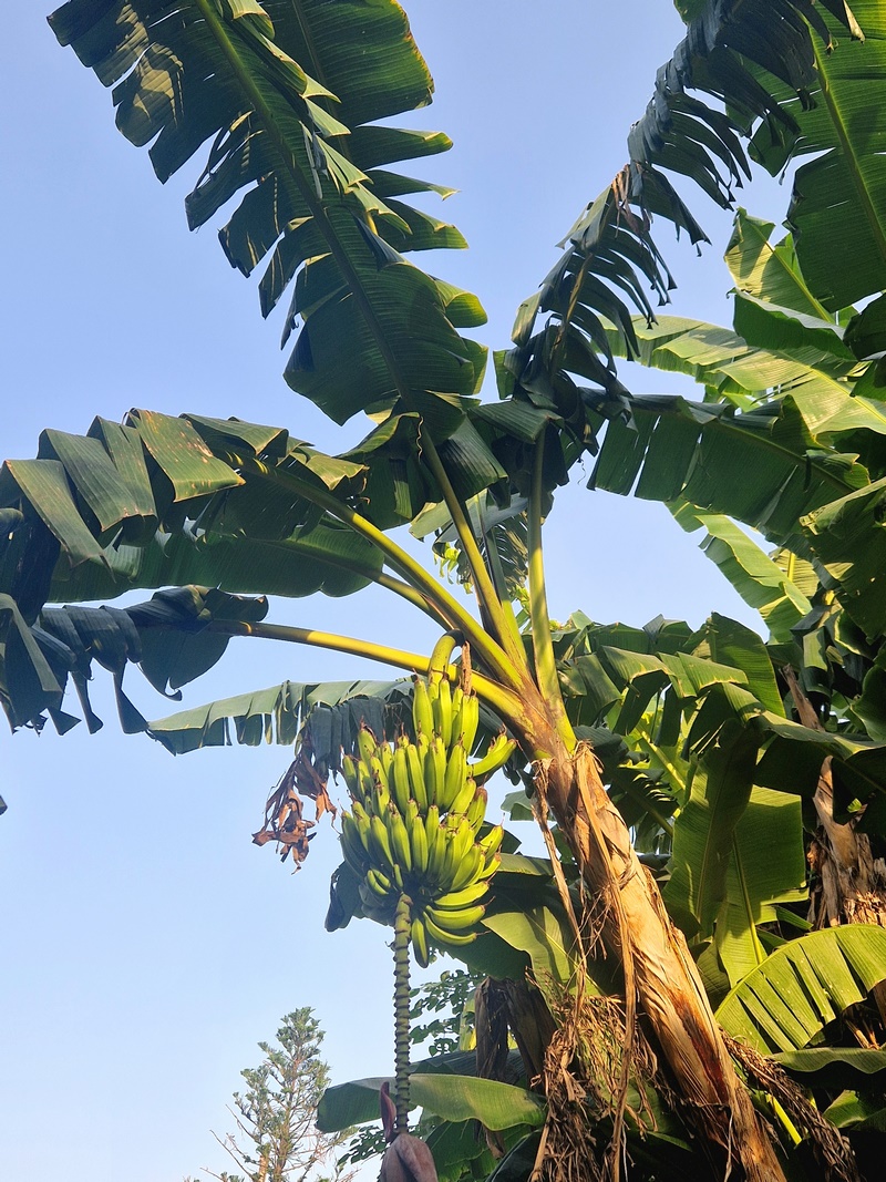 20250930_164550 (Kopiowanie).jpg