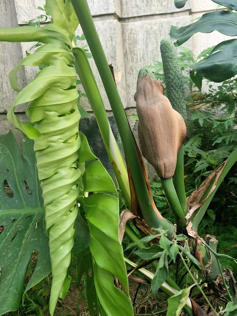 20250930_164626 (Kopiowanie).jpg