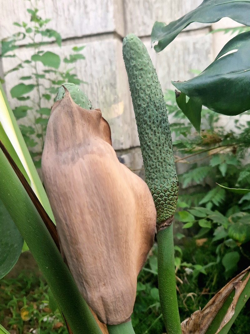 20250930_164631 (Kopiowanie).jpg