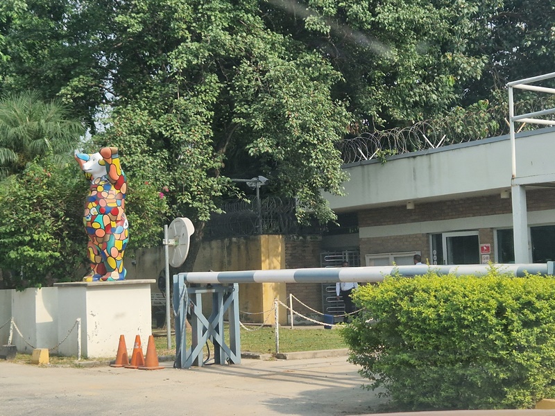 20251001_144036 (Kopiowanie).jpg