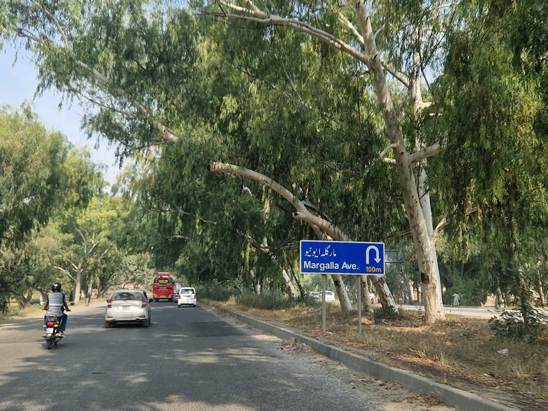 20251002_091636 (Kopiowanie).jpg