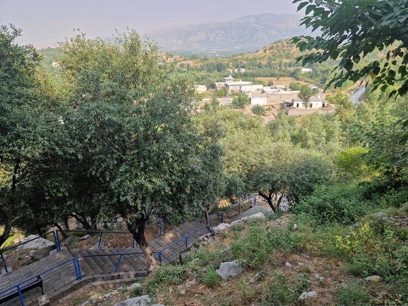 20251002_100205 (Kopiowanie).jpg