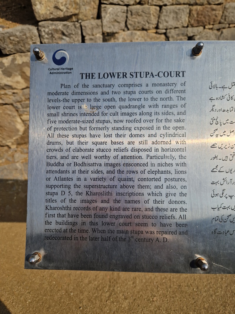 20251002_100357 (Kopiowanie).jpg