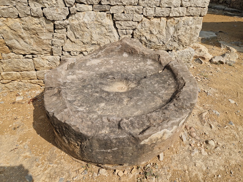 20251002_100907 (Kopiowanie).jpg