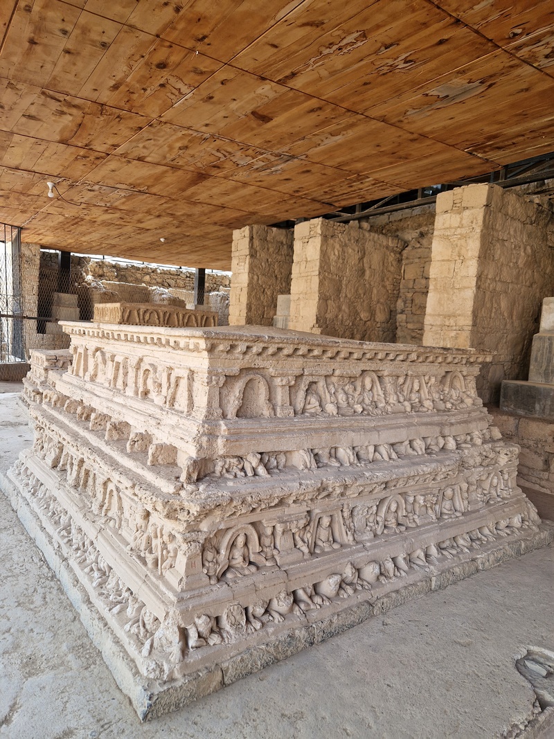 20251002_101210 (Kopiowanie).jpg