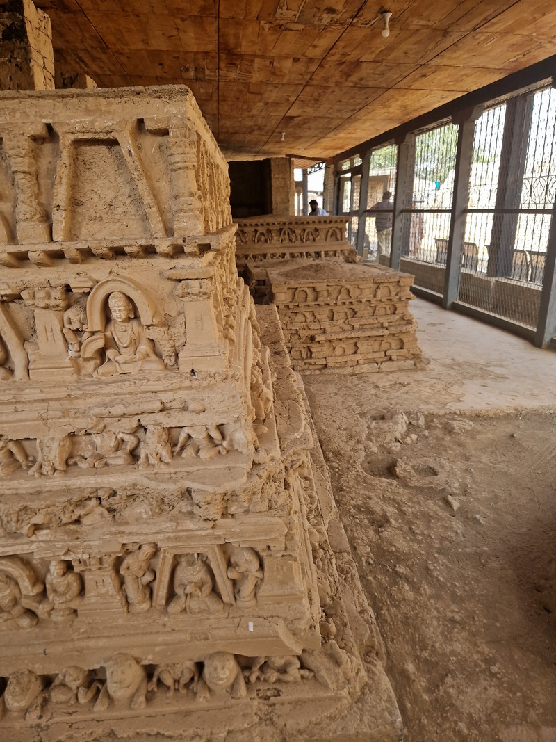 20251002_101248 (Kopiowanie).jpg