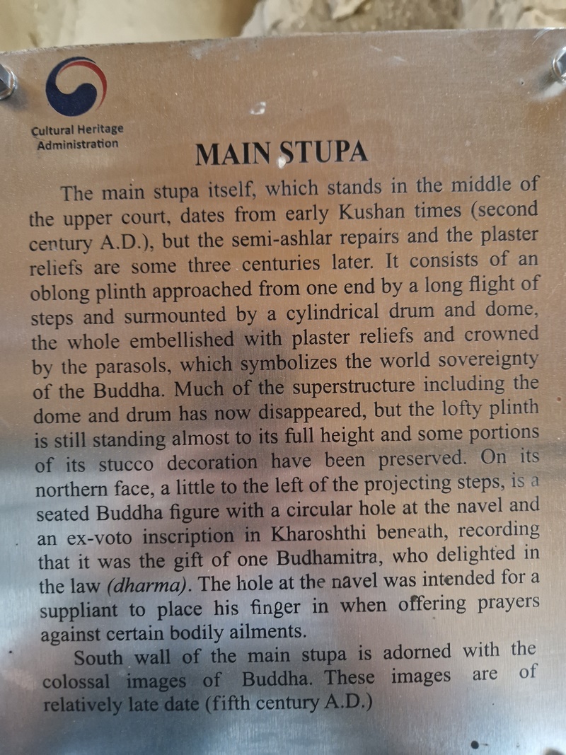 20251002_101431 (Kopiowanie).jpg