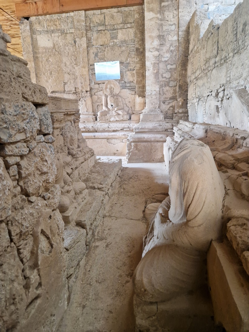 20251002_101444 (Kopiowanie).jpg