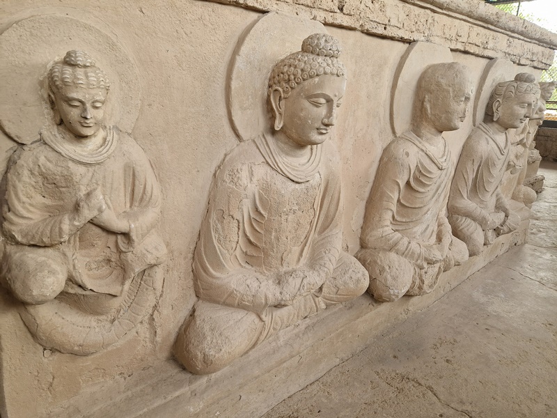 20251002_101707 (Kopiowanie).jpg