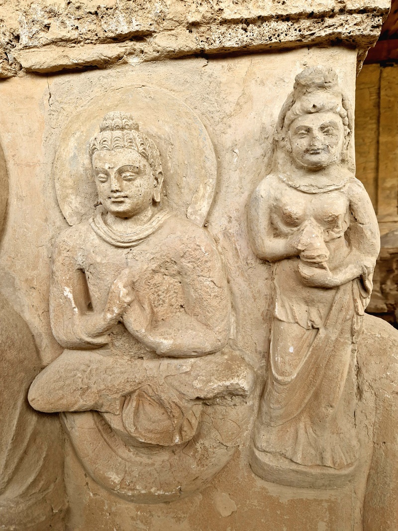 20251002_101726 (Kopiowanie).jpg