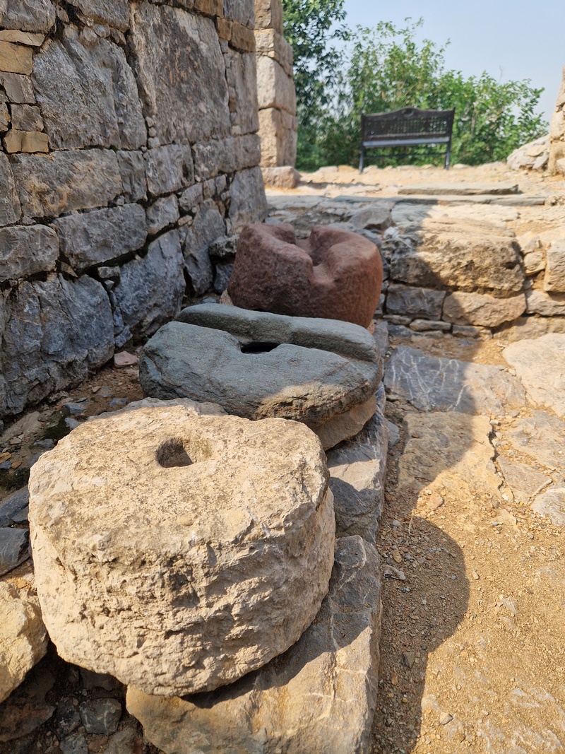 20251002_101833 (Kopiowanie).jpg