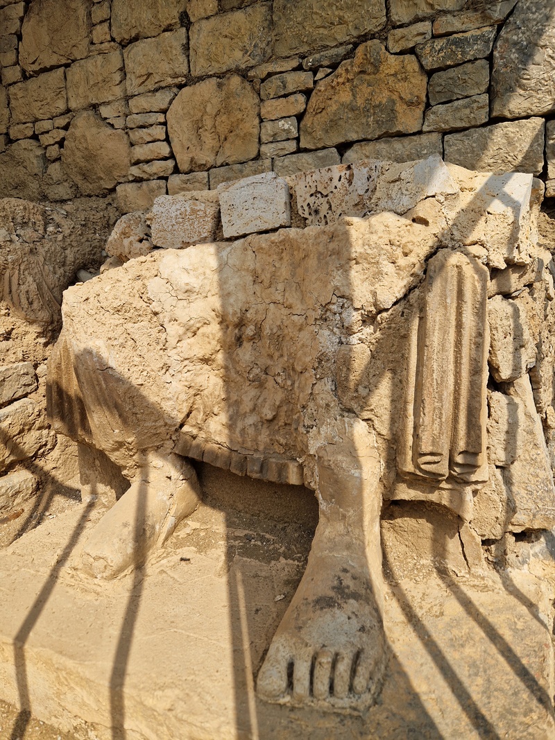 20251002_102232 (Kopiowanie).jpg