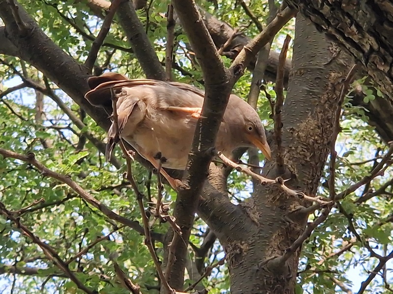 20251002_102122 (Kopiowanie).jpg