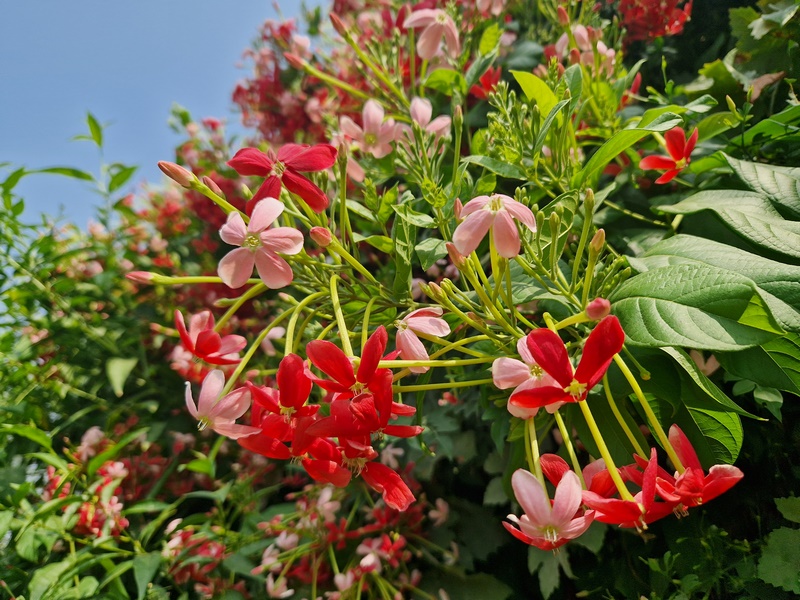 20251002_102831 (Kopiowanie).jpg