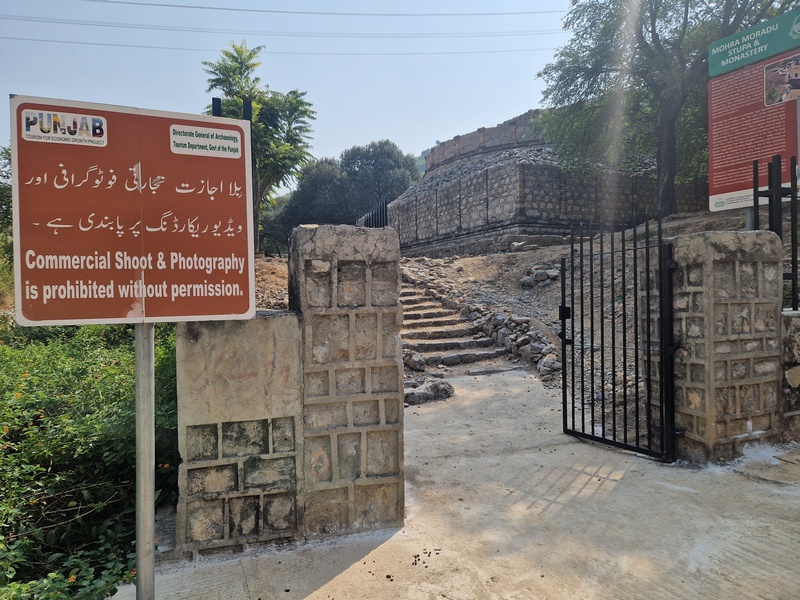 20251002_103748 (Kopiowanie).jpg