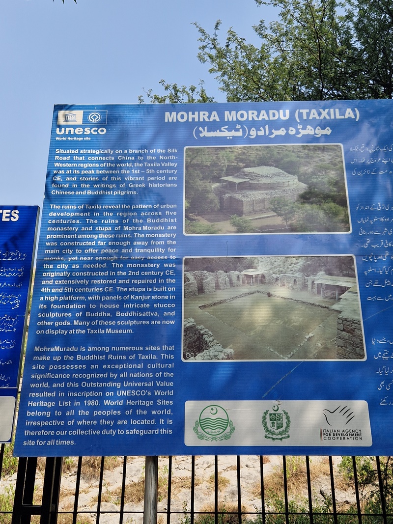 20251002_104000 (Kopiowanie).jpg