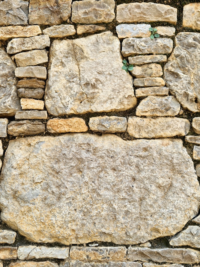 20251002_104017 (Kopiowanie).jpg