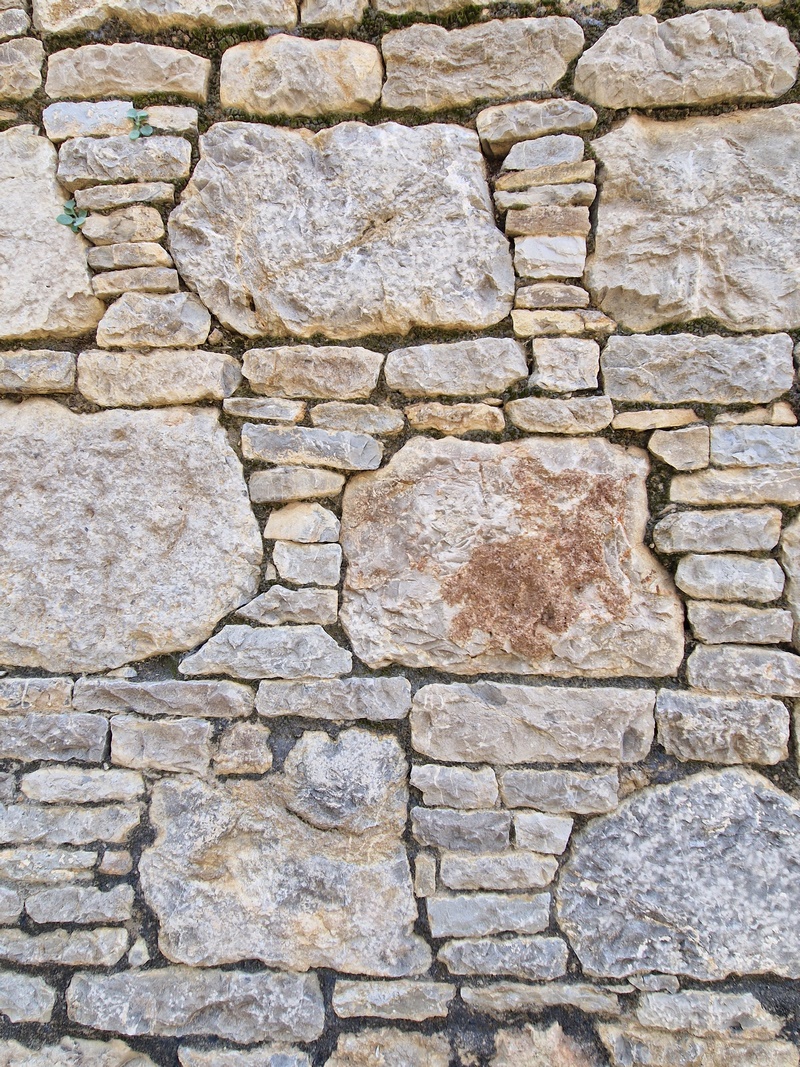 20251002_104025 (Kopiowanie).jpg