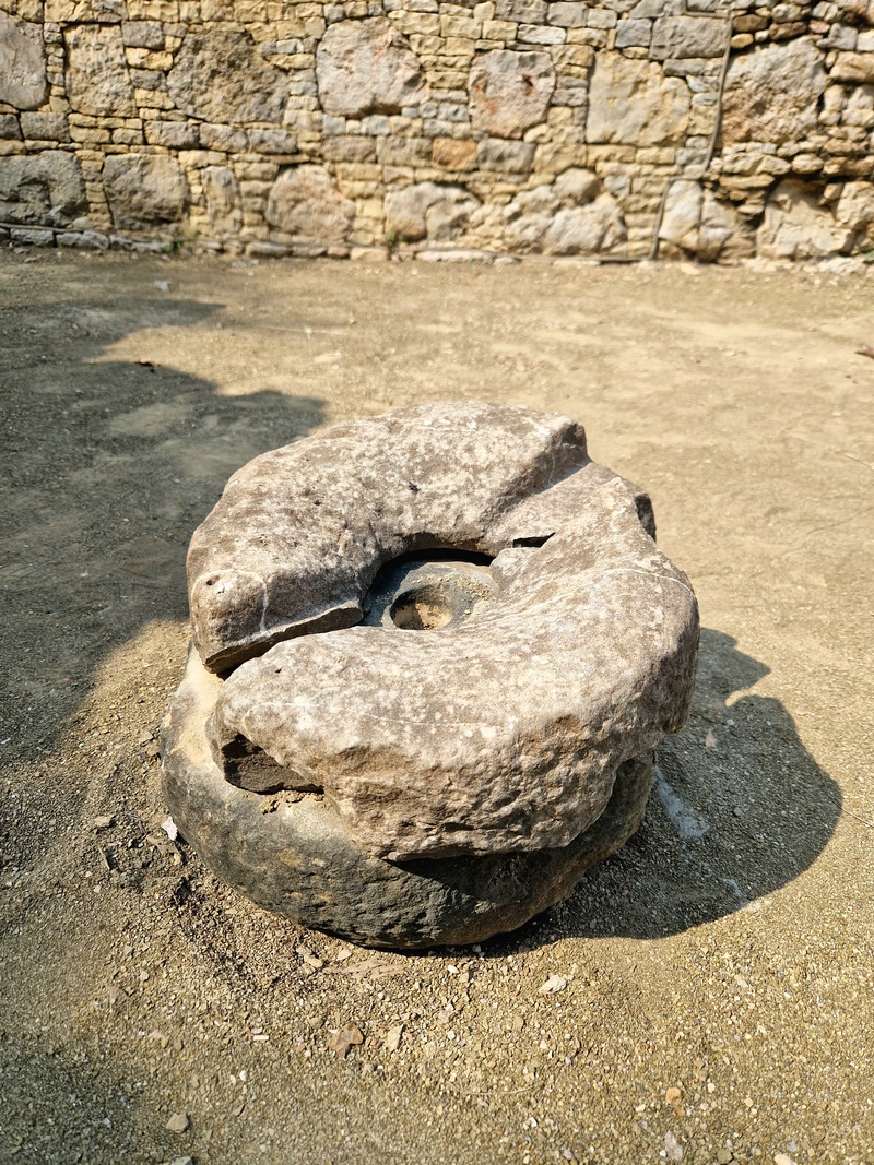 20251002_104330 (Kopiowanie).jpg