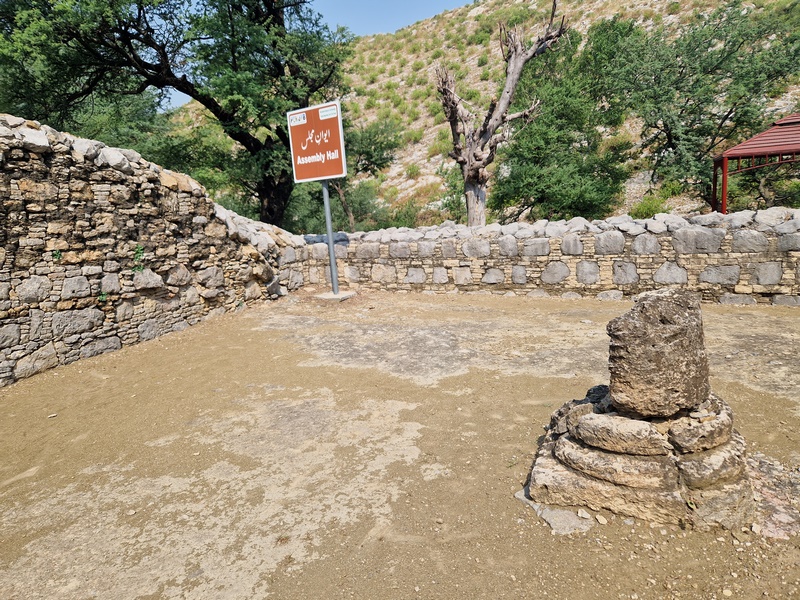 20251002_104431 (Kopiowanie).jpg