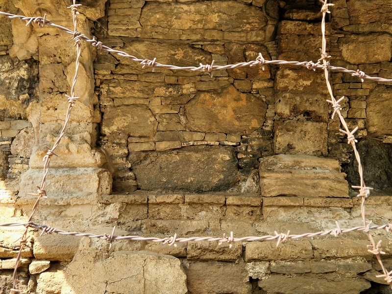 20251002_104917 (Kopiowanie).jpg