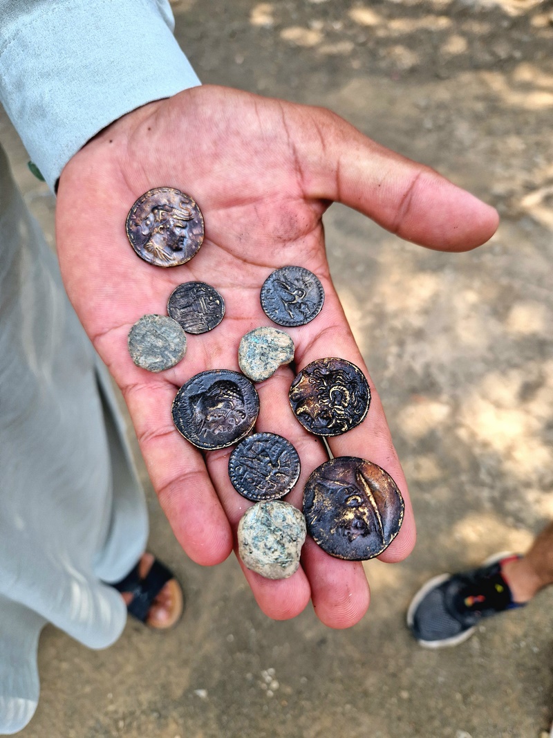 20251002_105253 (Kopiowanie).jpg