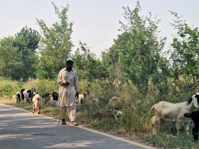 20251002_110019(0) (Kopiowanie).jpg