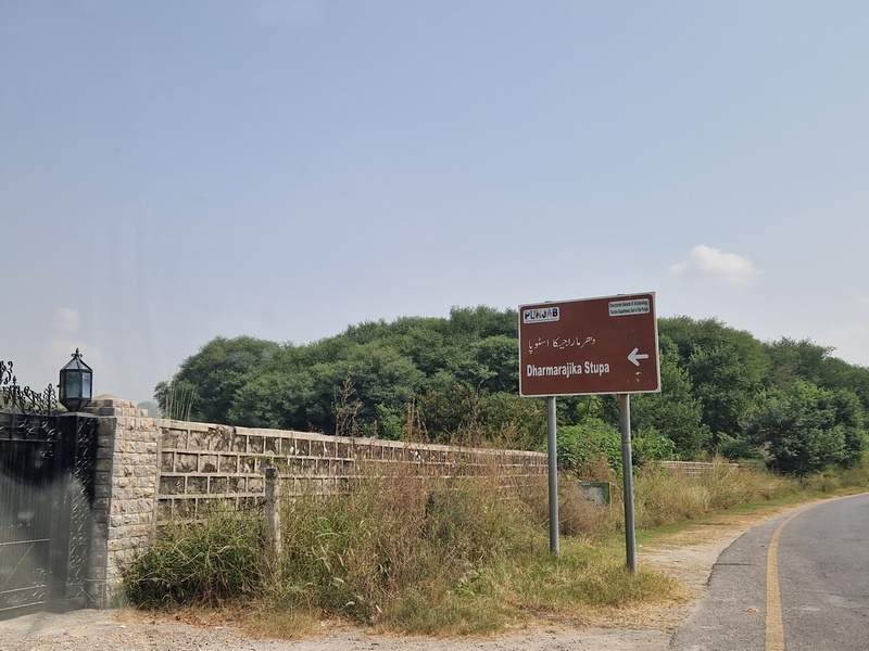 20251002_111333 (Kopiowanie).jpg