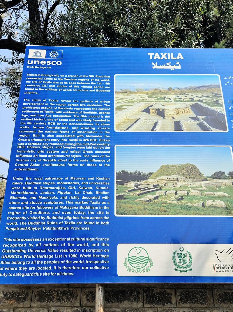 20251002_111848 (Kopiowanie).jpg