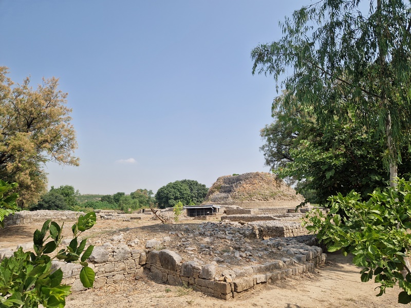 20251002_111954 (Kopiowanie).jpg