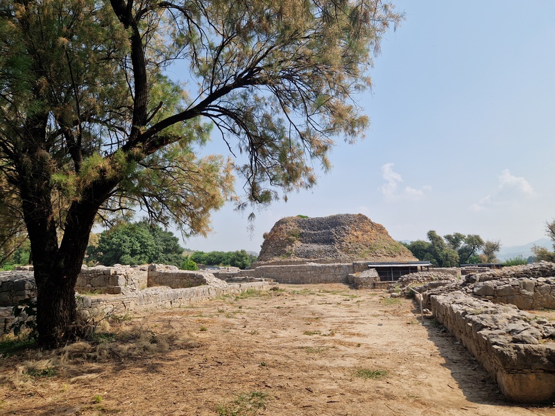 20251002_112124 (Kopiowanie).jpg