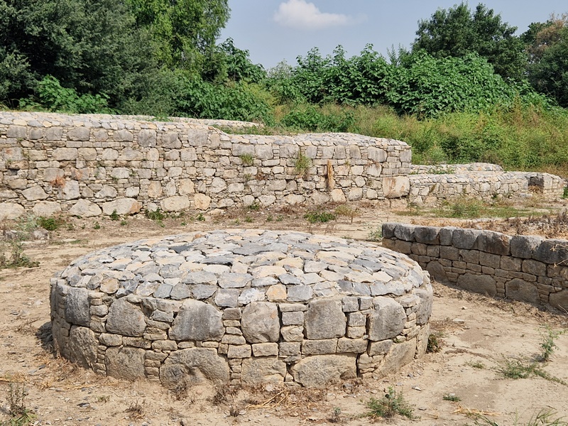 20251002_112306 (Kopiowanie).jpg