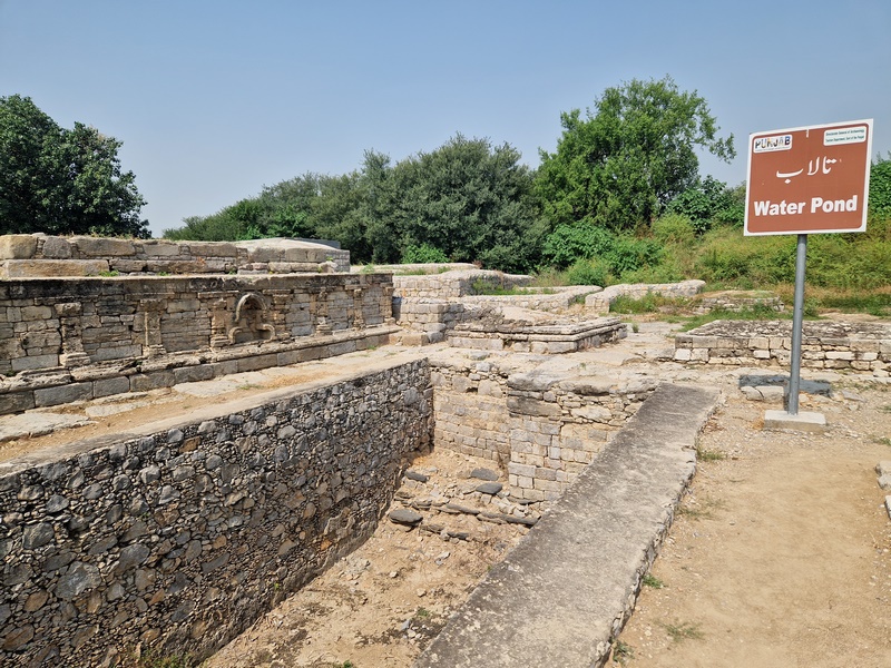 20251002_112346 (Kopiowanie).jpg