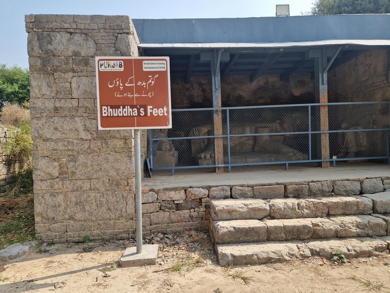 20251002_112505 (Kopiowanie).jpg