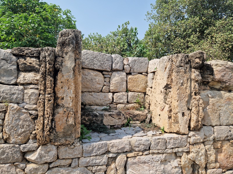 20251002_112854 (Kopiowanie).jpg