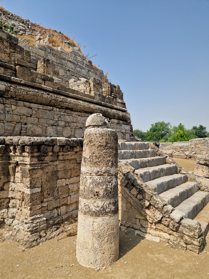 20251002_113442 (Kopiowanie).jpg