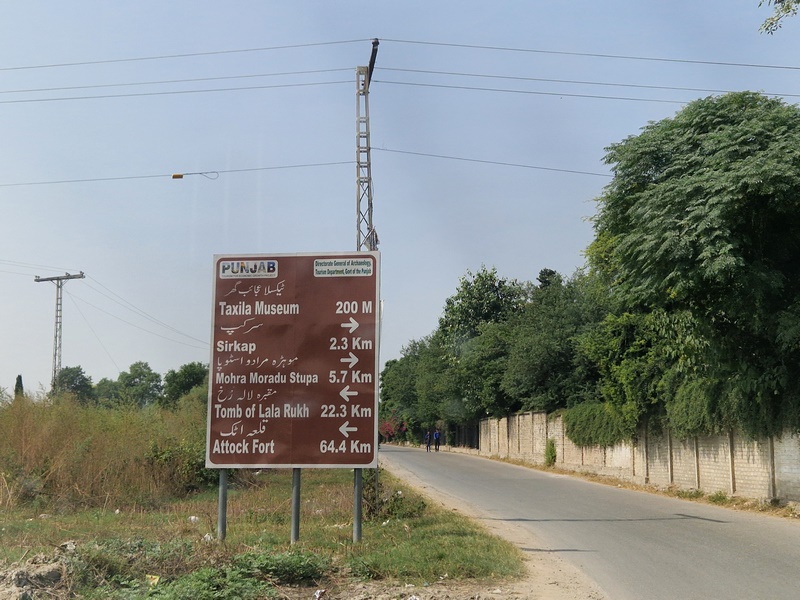 20251002_114646 (Kopiowanie).jpg