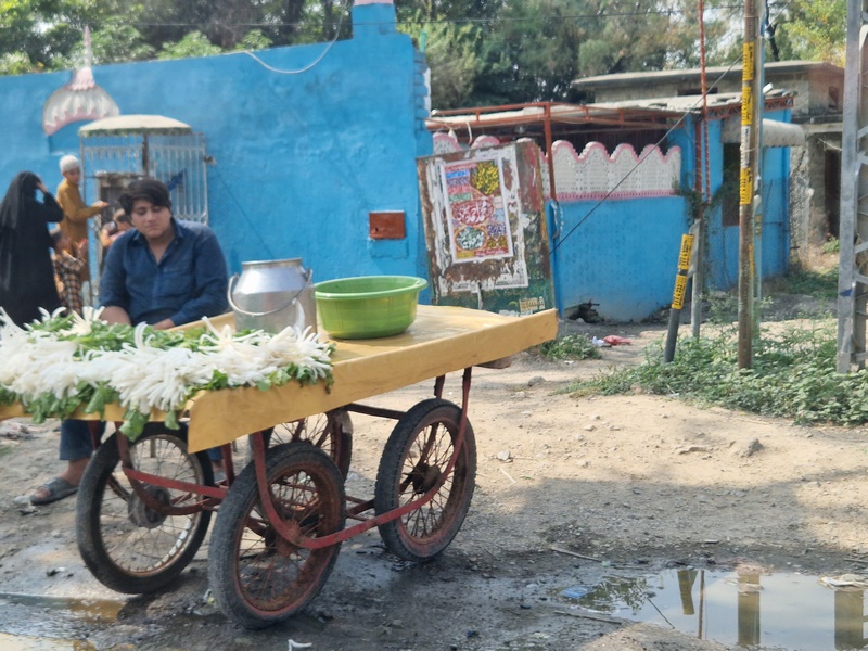 20251002_114716 (Kopiowanie).jpg