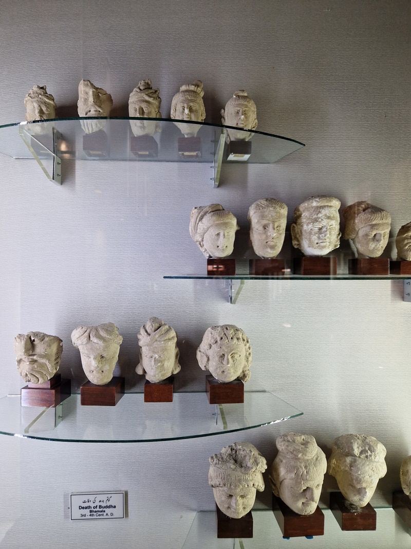 20251002_115359 (Kopiowanie).jpg