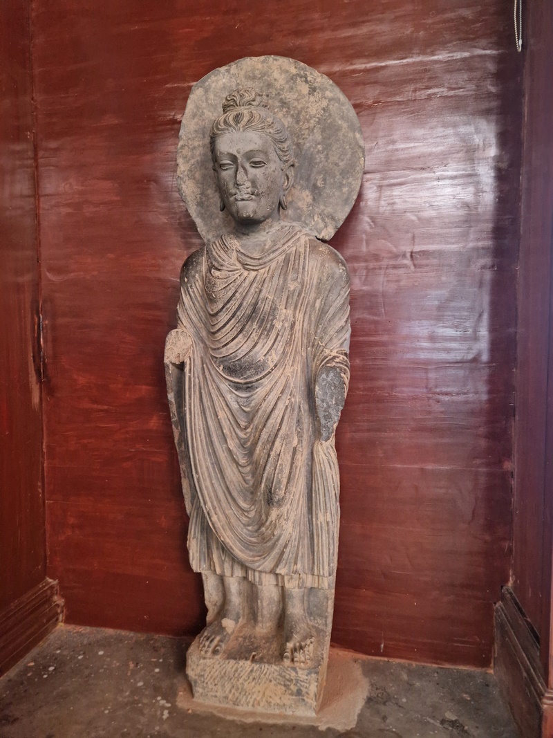 20251002_115443 (Kopiowanie).jpg